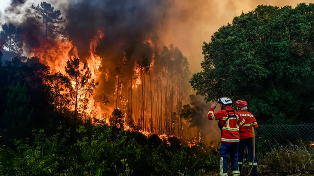 Urge visión sustentable para atender la crisis ambiental: UNAM